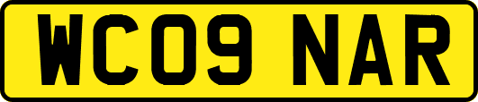 WC09NAR