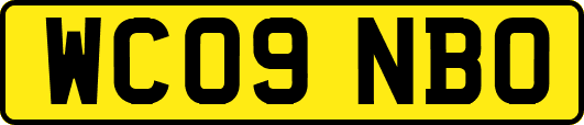 WC09NBO