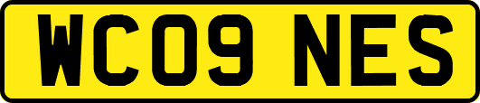 WC09NES