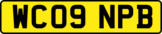 WC09NPB