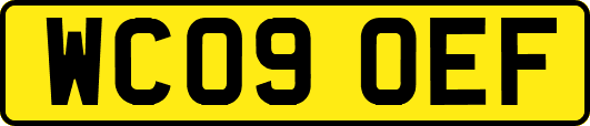 WC09OEF