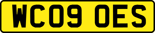 WC09OES