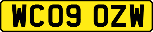 WC09OZW