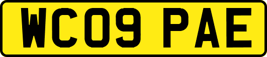 WC09PAE