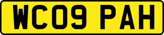 WC09PAH