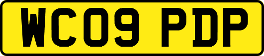 WC09PDP