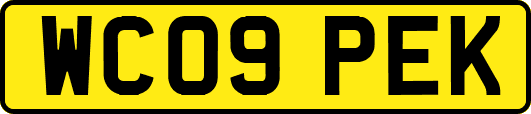 WC09PEK