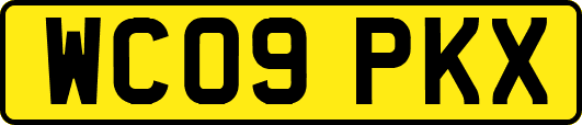 WC09PKX