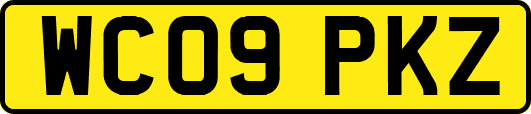 WC09PKZ