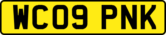 WC09PNK