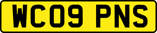 WC09PNS