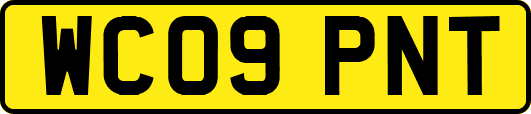 WC09PNT
