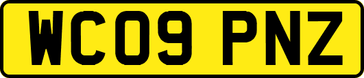 WC09PNZ