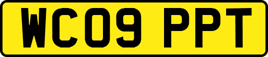 WC09PPT