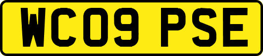 WC09PSE