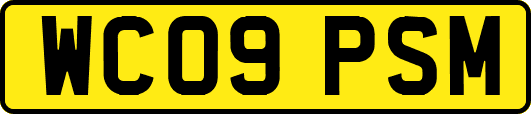 WC09PSM