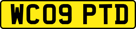 WC09PTD