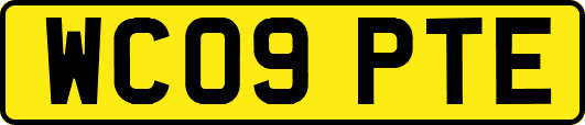 WC09PTE