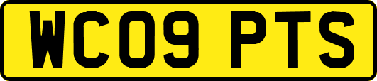 WC09PTS