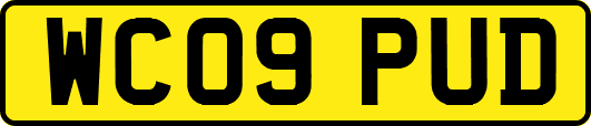 WC09PUD