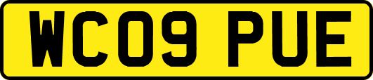 WC09PUE
