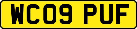 WC09PUF