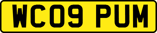 WC09PUM