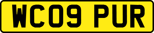 WC09PUR