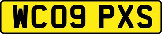 WC09PXS