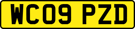 WC09PZD