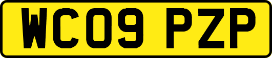 WC09PZP
