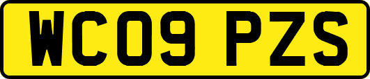 WC09PZS
