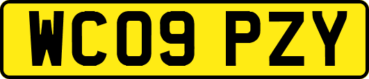 WC09PZY