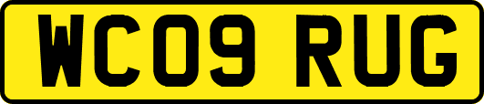 WC09RUG