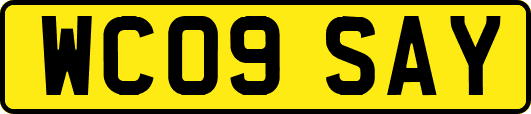 WC09SAY