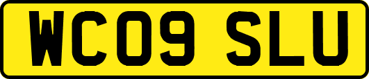 WC09SLU