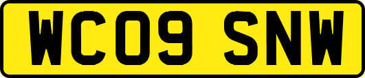WC09SNW
