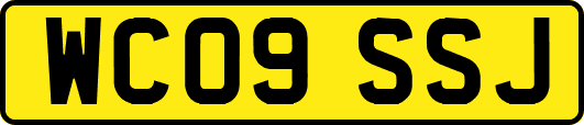 WC09SSJ