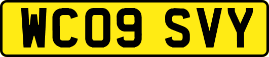 WC09SVY