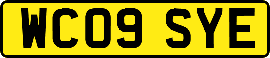 WC09SYE
