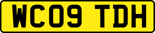 WC09TDH
