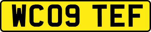 WC09TEF