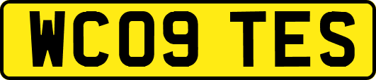 WC09TES