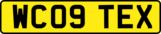 WC09TEX