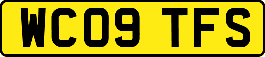 WC09TFS