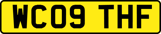 WC09THF