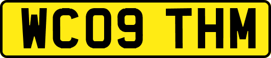 WC09THM