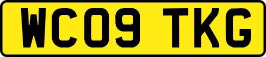 WC09TKG