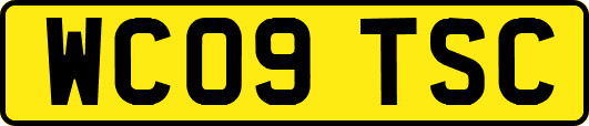 WC09TSC