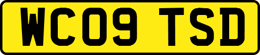 WC09TSD